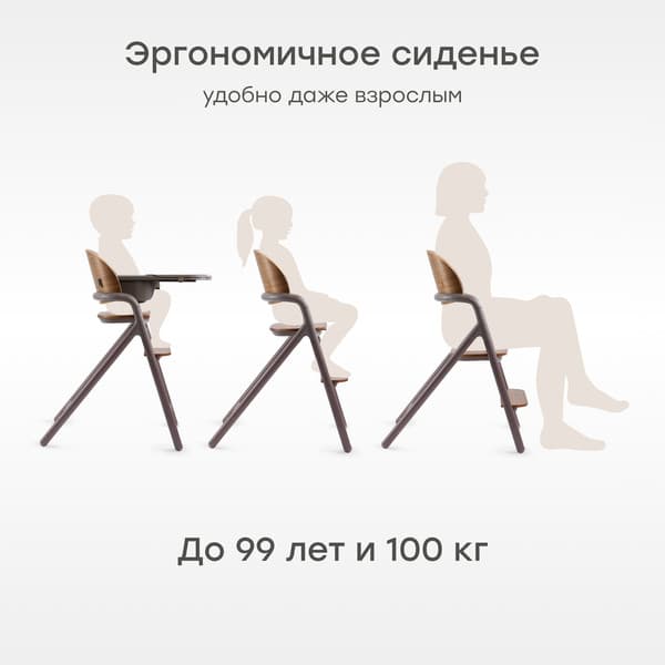 Стульчик для кормления Happy Baby Vincent 10