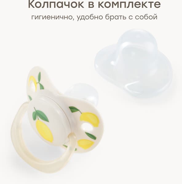 Пустышка Happy Baby 13008/1 6
