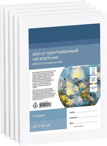 Набор холстов для рисования ГАММА Студия / 25112153040