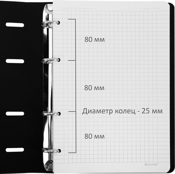 Тетрадь Brauberg Vista. Minimal / 405202 10