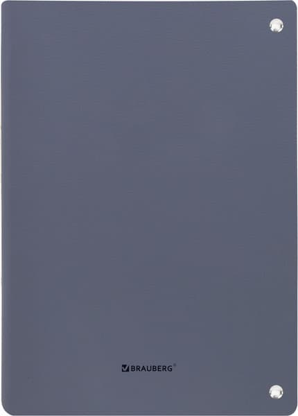 Тетрадь Brauberg Vista. Minimal / 405202 5