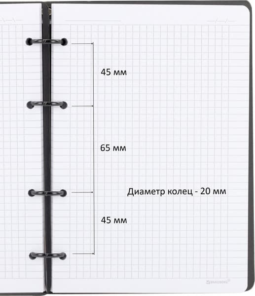 Тетрадь Brauberg Rhythm. Природа / 405230 9
