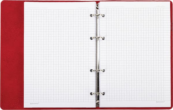 Тетрадь Brauberg Mono / 405234 6