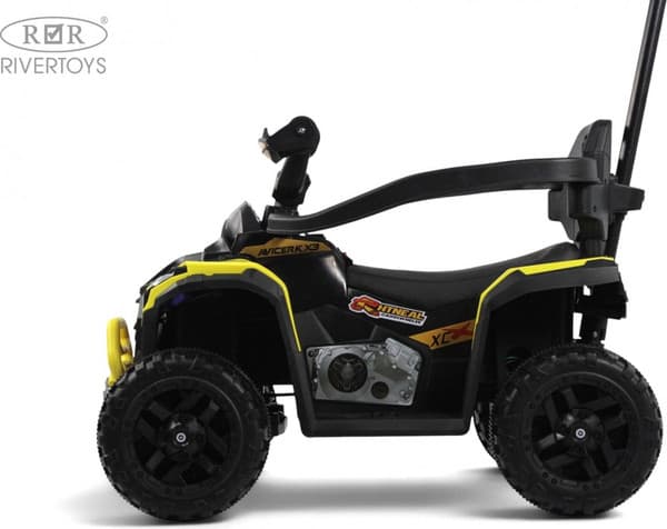Детский квадроцикл RiverToys F003FF 2