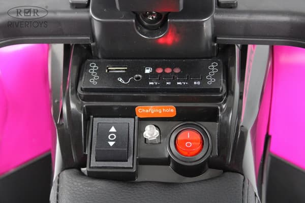 Детский квадроцикл RiverToys F003FF 9