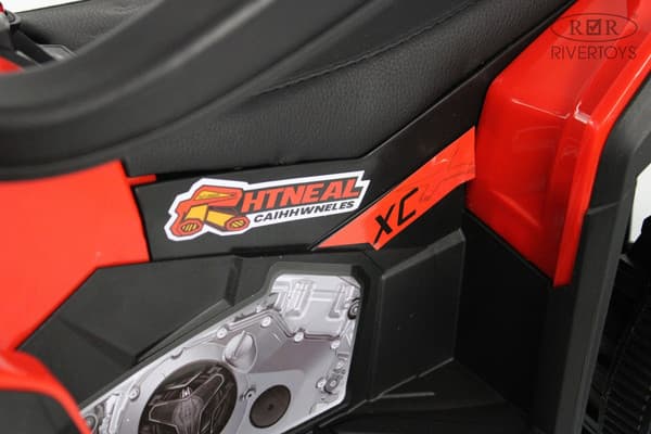 Детский квадроцикл RiverToys F003FF-A 9