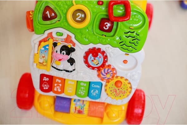 Ходунки-каталка Vtech Первые шаги / 80-077026 9