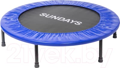 Батут Sundays D101 4