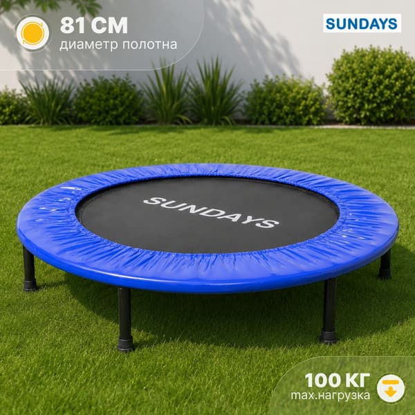 Батут Sundays D101