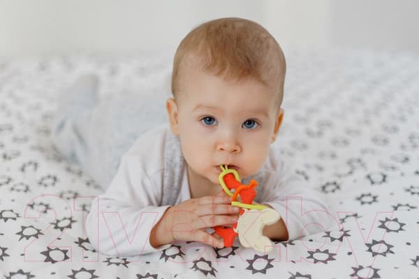 Прорезыватель для зубов ROXY-KIDS RBT-001R 9