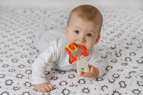 Прорезыватель для зубов ROXY-KIDS RBT-001R 10