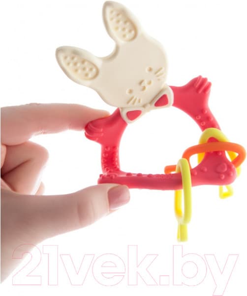 Прорезыватель для зубов ROXY-KIDS RBT-001R 4