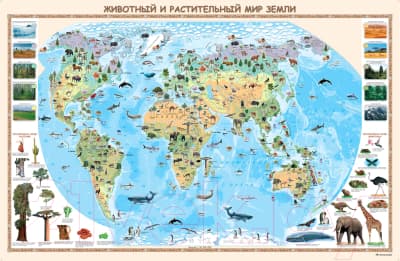 Настенная карта Белкартография Животный и растительный мир земли