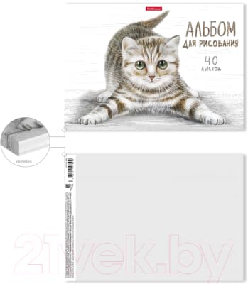 Альбом для рисования Erich Krause Tabby / 49844 4