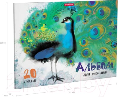 Альбом для рисования Erich Krause ArtBerry Птицы жарких стран / 43261 3