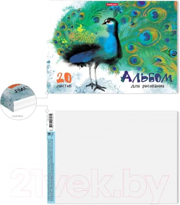 Альбом для рисования Erich Krause ArtBerry Птицы жарких стран / 43261 2