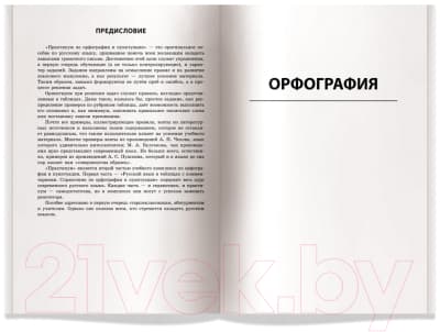Учебное пособие Айрис-пресс Русский язык. Практикум по орфографии 2