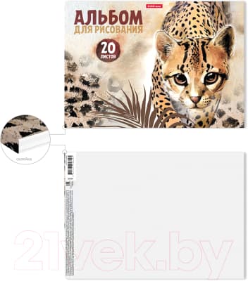 Альбом для рисования Erich Krause Wild Cat / 49829 3
