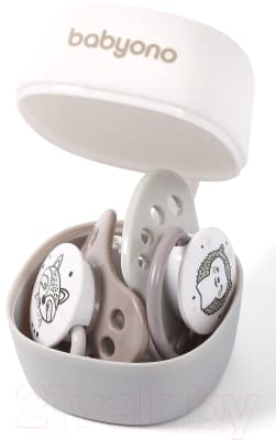 Контейнер для пустышки BabyOno Natural Nursing 535/01 2