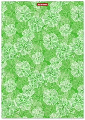 Тетрадь Erich Krause Clover / 51464