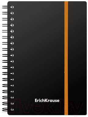 Тетрадь Erich Krause Accent / 53140