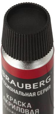 Акриловые краски Brauberg 191123 10