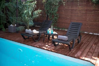 Шезлонг Ellastik Plast Атлант 184x62x33 3