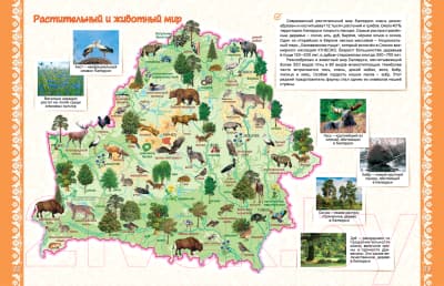 Атлас Белкартография Моя Беларусь. Атлас для детей 3