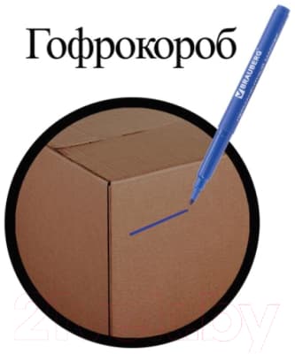 Набор маркеров Brauberg Classic Line / 150295 10