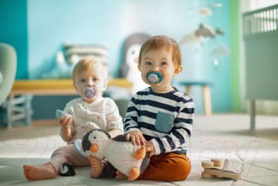 Набор пустышек Philips AVENT Ultra Air / SCF080/06 9