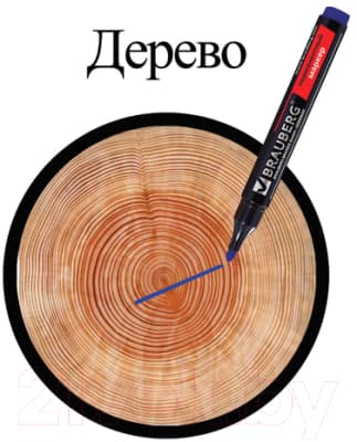 Набор маркеров Brauberg Contract / 150474 10