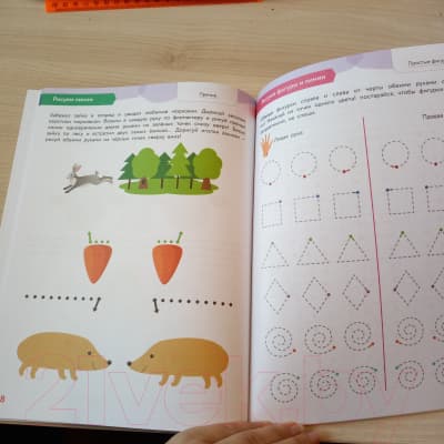 Книга Эксмо Готовимся к обучению в школе правильно! 5-7 лет 5
