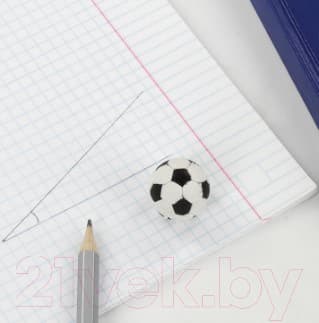 Набор ластиков Пифагор Футбол / 223608 6