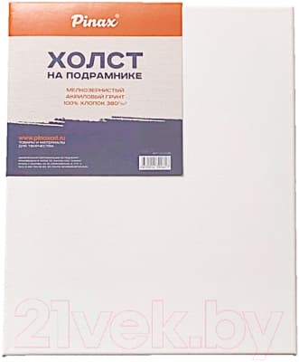 Холст для рисования Pinax 30x30см / 20.3030