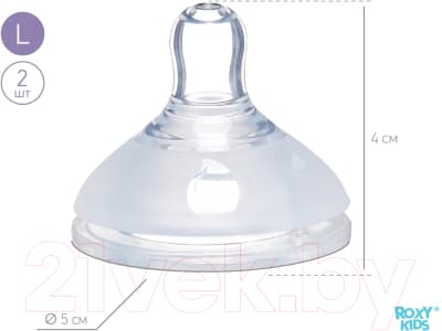 Набор сосок ROXY-KIDS Для бутылочек быстрый поток 6мес+ / RBTL-003-L 10