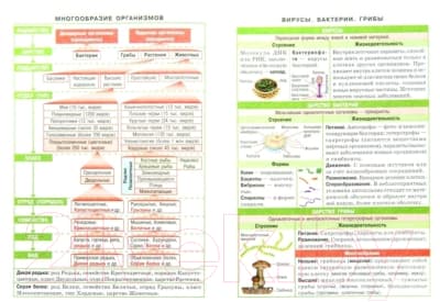 Учебное пособие Айрис-пресс Справочник в таблицах. Биология. 7-11 класс 2