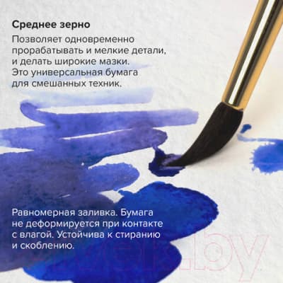 Альбом для рисования Brauberg Art Premiere / 113212 4