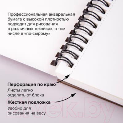 Альбом для рисования Brauberg Art Premiere / 113212 3