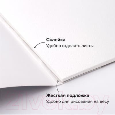 Альбом для рисования Brauberg Art Premiere / 113223 3