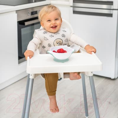 Набор посуды для кормления BabyOno Миска с присоской и ложкой 6м+ / 1063 6