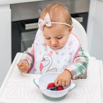 Набор посуды для кормления BabyOno Миска с присоской и ложкой 6м+ / 1063 7