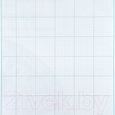Папка для черчения Лилия Холдинг А3 300x400 / ПМ/А3 2