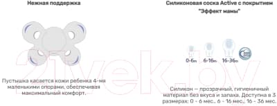 Набор пустышек Chicco PhysioForma Comfort Енот Снежок / 00074931110000.3 7