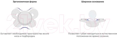 Набор пустышек Chicco PhysioForma Comfort Енот Снежок / 00074931110000.3 5