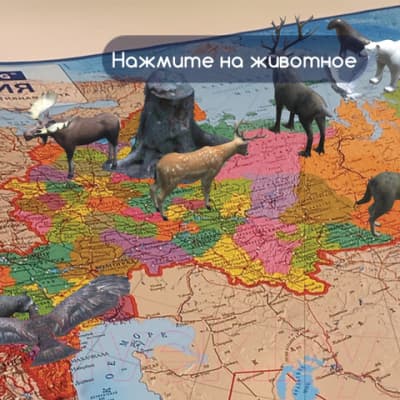 Настенная карта Brauberg Карта России политико-административная / 112395 6