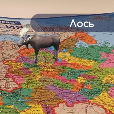 Настенная карта Brauberg Карта России политико-административная / 112395 5