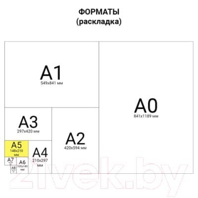 Тетрадь Brauberg Cloud / 404094 4