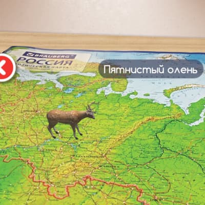 Настенная карта Brauberg Физическая карта России / 112392 7