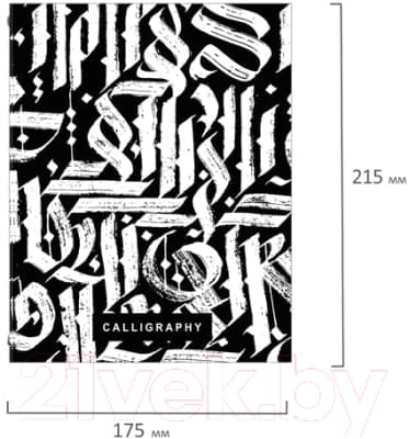 Тетрадь Brauberg Calligraphy / 404097 2