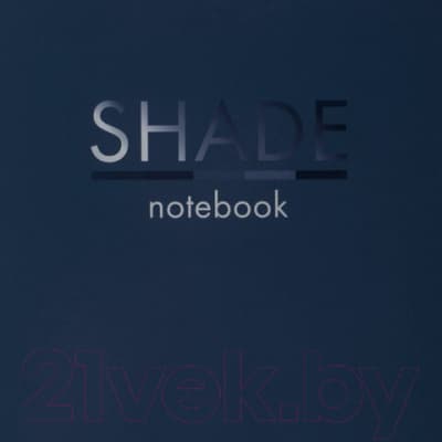 Тетрадь Brauberg Shade / 404102 10